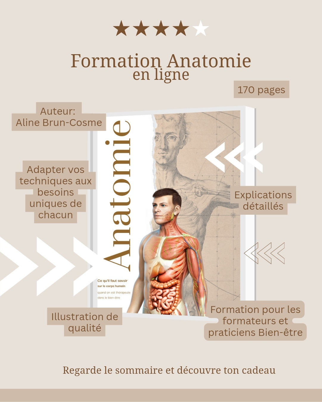 Formation en ligne ANATOMIE